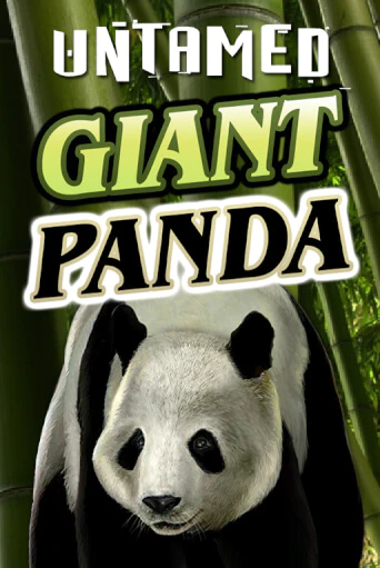 Untamed - Giant Panda демо играть онлайн | MaxBet Казино без регистрации